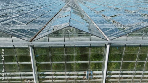 Wallpaper Mural Aerial view of a large commercial greenhouse with open roof vents for ventilation. Plants are grown inside for food production in the Netherlands. HELENSVILLE, NZ Torontodigital.ca
