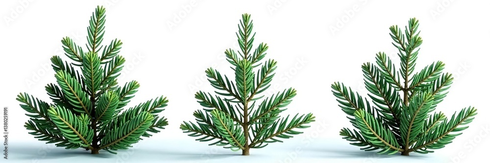 Naklejka premium Three fir branches isolated against bright white, fir trees, evergreen