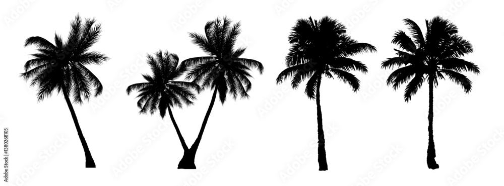 Black palm tree silhouette - vector illustration set Black palm tree silhouette - vector illustration set
