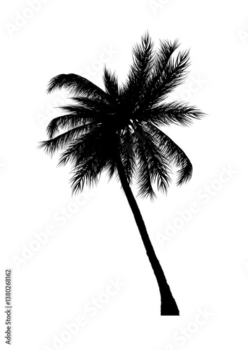 Wallpaper Mural Black  palm tree silhouette - vector illustration Torontodigital.ca