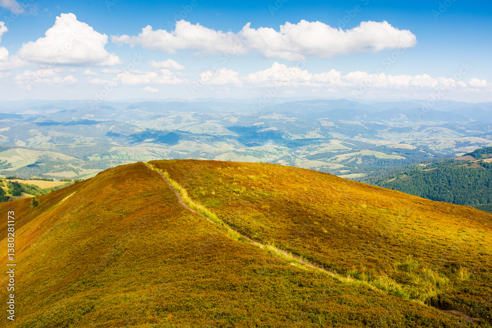 path up the steep hill. carpathian mountain landscape in summer. grassy alpine scenery of ukrainian highlands on a sunny day with fluffy clouds on the blue sky. hard way to success concept