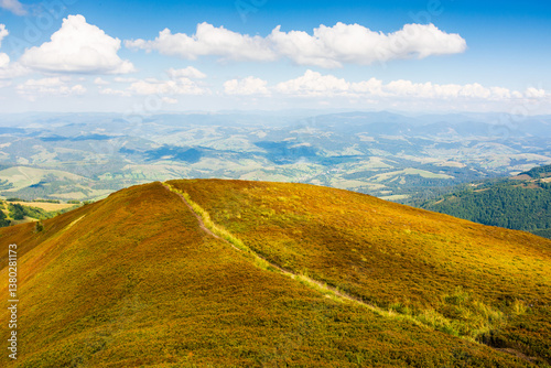 Obraz na płótnie path up the steep hill. carpathian mountain landscape in summer. grassy alpine scenery of ukrainian highlands on a sunny day with fluffy clouds on the blue sky. hard way to success concept w salonie