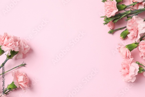 Beautiful bouquet of pink carnations on a colored background