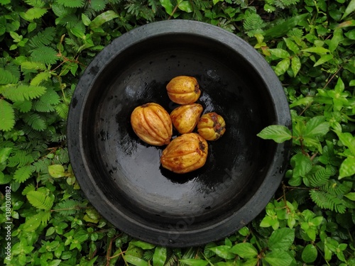 Tableau sur toile Close-up of ripe Garcinia cambogia fruits, locally known as kodampuli in Kerala, India
