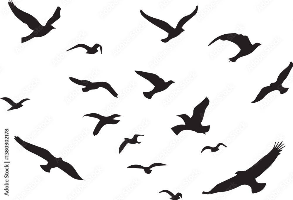 Obraz premium set of silhouettes of birds