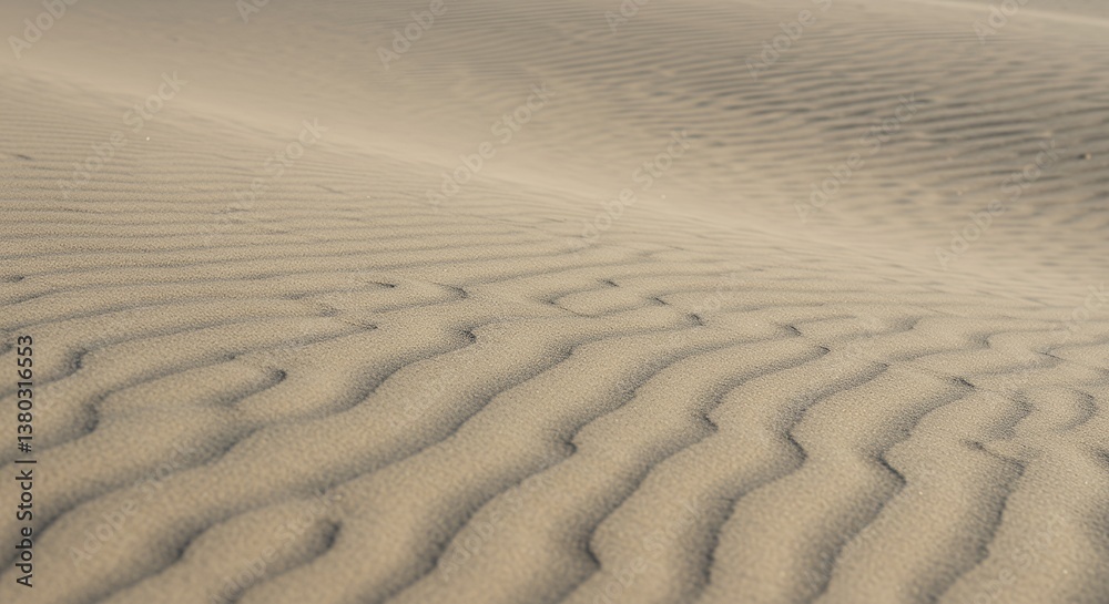 Fototapeta premium Light Beige Desert Sand Dunes Under Soft Sunlight