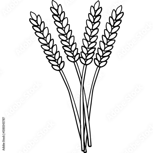 Farm theme, Wheat stalks illustrated in a simple line art style. Outline for coloring .