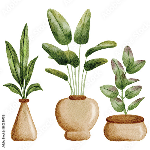 Set of Houseplants in Ceramic Pots