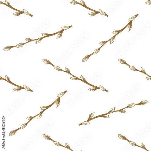 Hand drawn colored vintage seamless pattern of pussy willow branches for Easter
