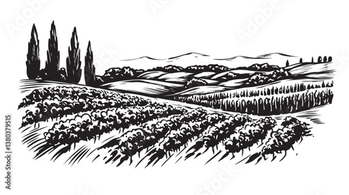 Landscape with vineyard and mountains.