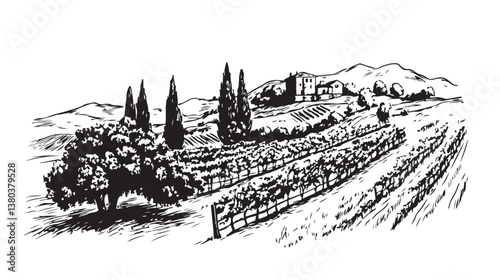 Vineyard landscape with mountains and building on the hill. 