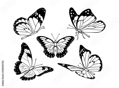 Wallpaper Mural set of vector butterflies  Torontodigital.ca