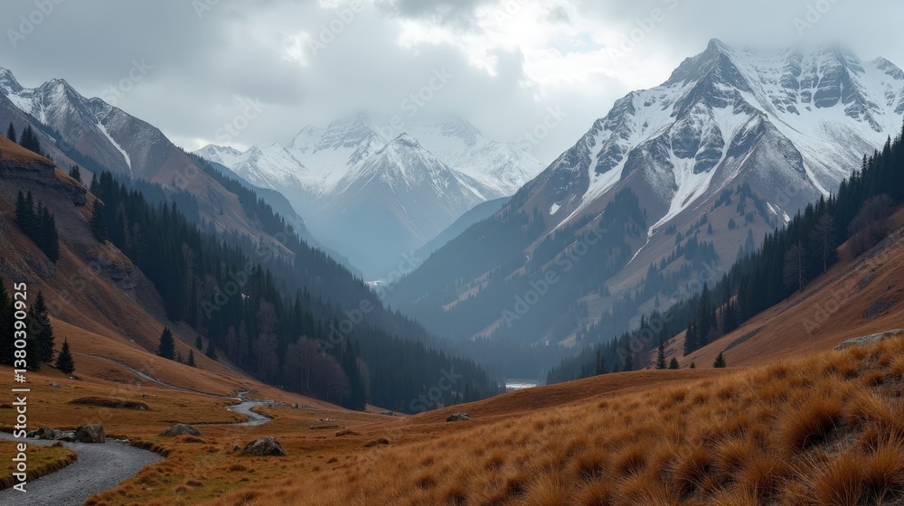 custom made wallpaper toronto digitalDetailed photo of Pyrenees National Park in France at midday with cool, rainy winter conditions, shot from a panoramic perspective.