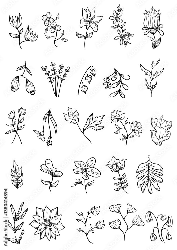 set of floral sketch set of floral sketch