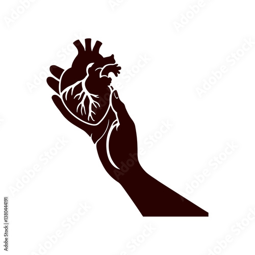 human heart with visible arteries and veins on a white background 