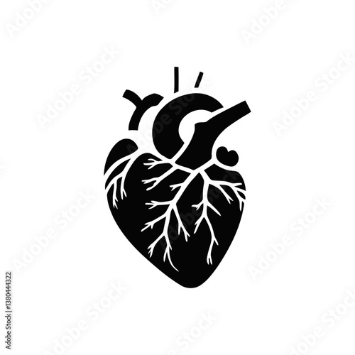 A black and white vector silhouette of a heart with arteries branching out in an elegant design on a white background