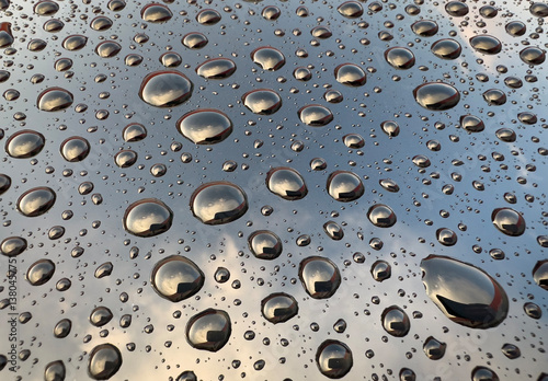 Beautiful Water Drops on Wi...
