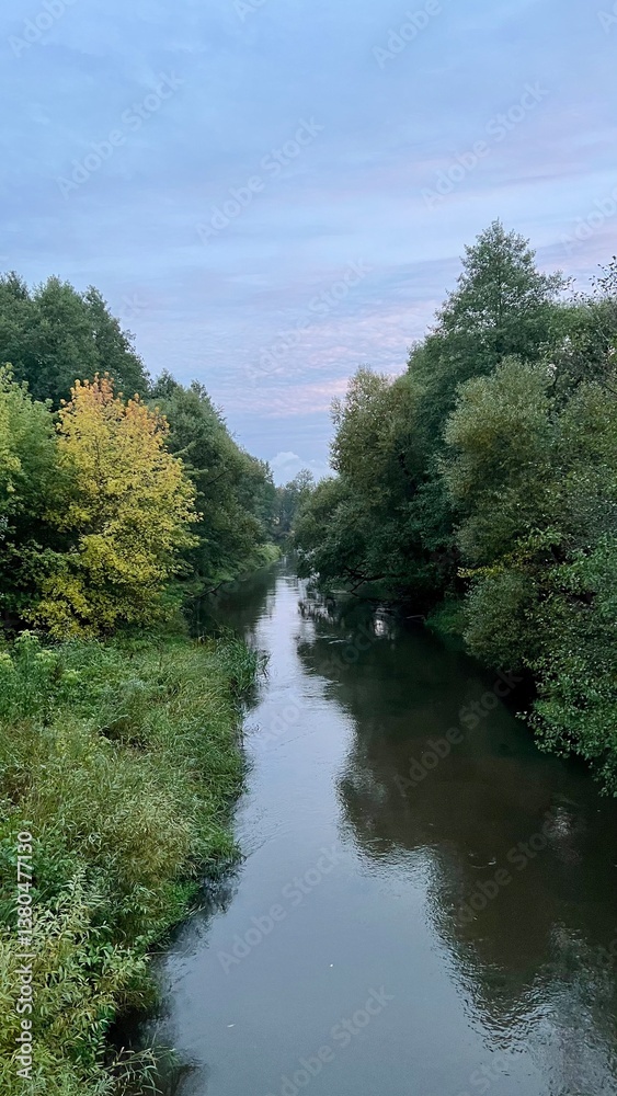 Vertical photo of a river surrounded by trees at dusk. Calm water reflects the fading light. Ideal for nature, landscape, twilight, and serene scenery themes. Vertical photo of a river surrounded by trees at dusk. Calm water reflects the fading light. Ideal for nature, landscape, twilight, and serene scenery themes.
