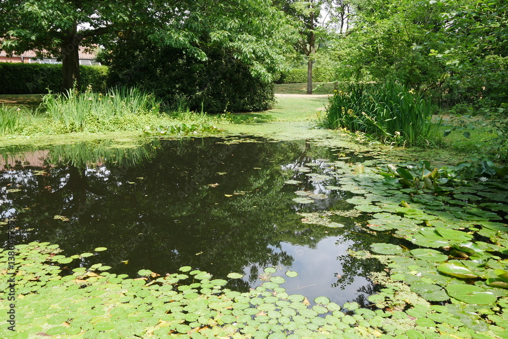 Teich im Schlosspark von Reinbek