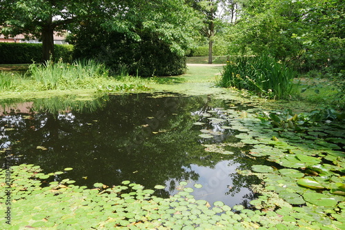 Obraz na płótnie Teich im Schlosspark von Reinbek w salonie