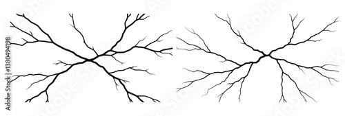 Abstract Black Crack Patterns on White Background - Two High-Contrast Vector Illustrations of Branching Fissures, Ideal for Textures, Overlays, and Design Elements Conveying Fracture and Organic Ruptu