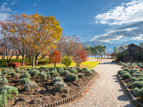 Park in Japan. Autumn in Fu...