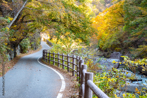 Nature of Japan. Kofu valle...