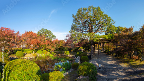 Nature of Japan. Park in ci...