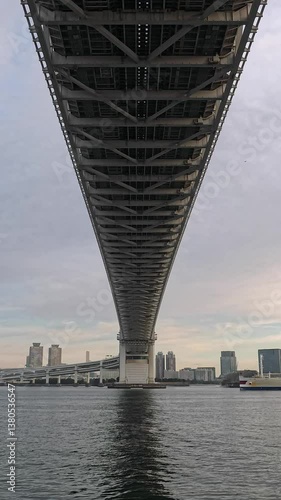 レインボーブリッジを通過する大型貨客船　東京ー小笠原航路24時間の船旅を経て