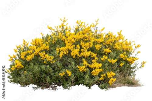 Stunning Yellow Flowers Arrangement
