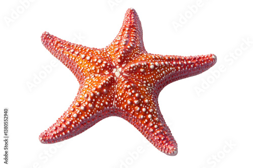 Vibrant Red Starfish, Close-up Detail