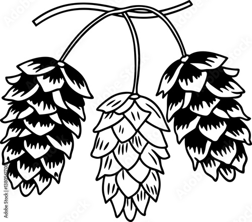 Black and white illustration of hop cones, botanical line drawing.