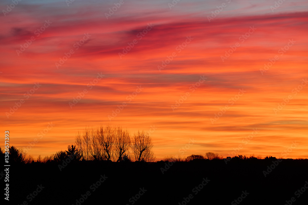 Vibrant sunset with colorful sky and silhouetted trees Vibrant sunset with colorful sky and silhouetted trees