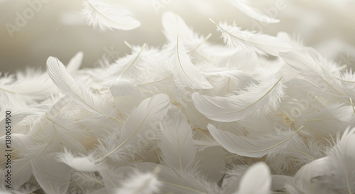 Swan Feathers Falling Softly - Soft white feathers, gentle breeze, serenity, purity, peace. A tranquil scene evoking calm and lightness