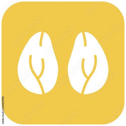 Kidney Icon