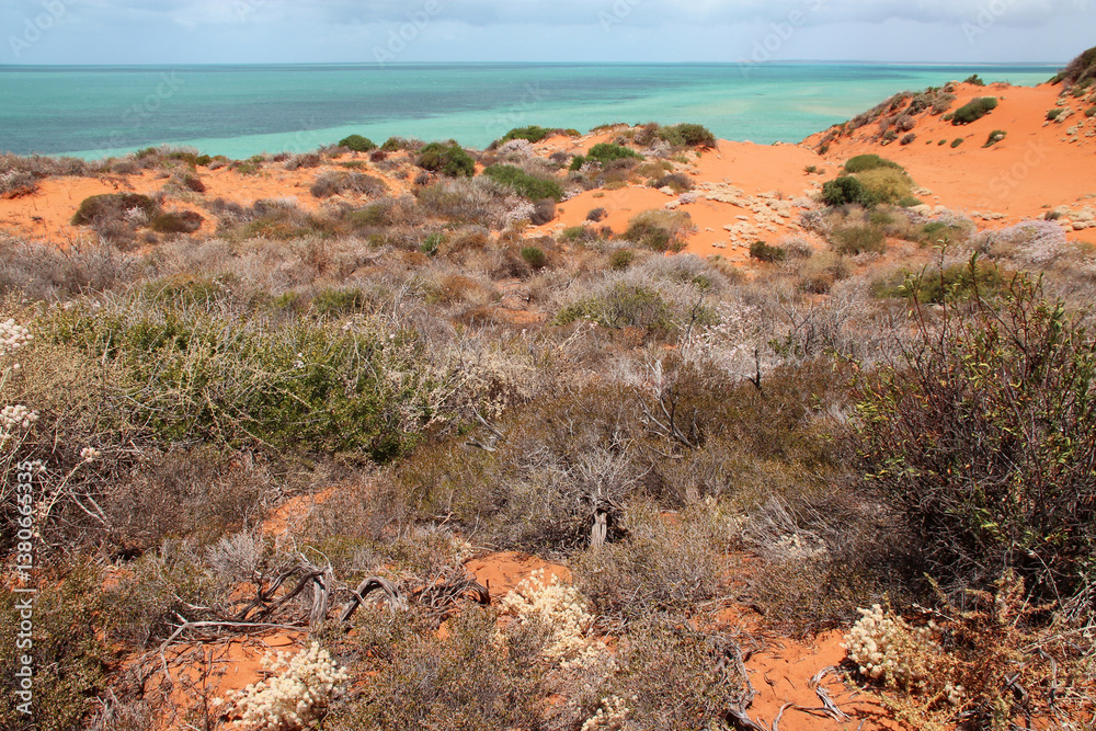 indian ocean at the françois péron national park at shark bay in australia