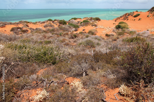 Obraz na płótnie indian ocean at the françois péron national park at shark bay in australia w salonie