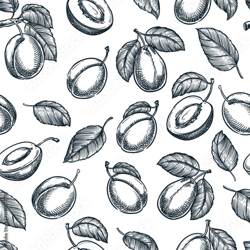 Farm fresh plums seamless pattern. Vector hand drawn sketch illustration. Label package wrapping paper background design