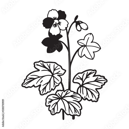 Heuchera Coral Bells – Shade-Loving Garden Beauty