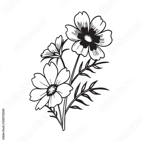 Cosmos Blossom – A Delicate and Hardy Bloom