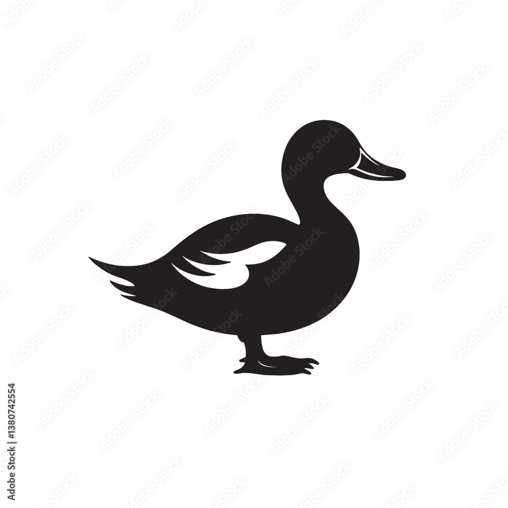Isolated wild duck with brown feathers on white Isolated wild duck with brown feathers on white