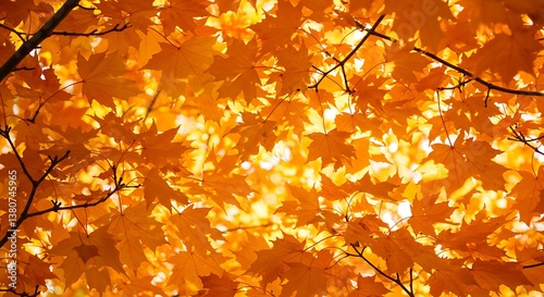 Autumn Leaves Canopy, Golden Sunlight, Backlit Foliage AI Generated