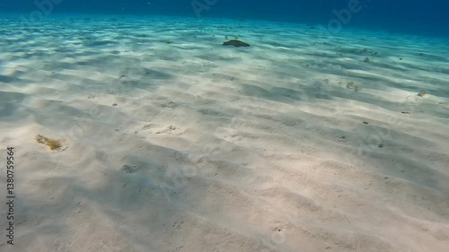sea and sand