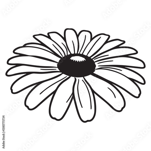 Daisy Flower – A Delicate Touch of Nature