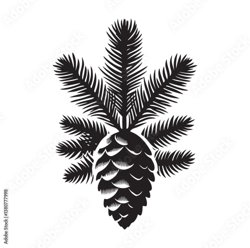 Evergreen fruit  Silhouettes vector illustration a white background.