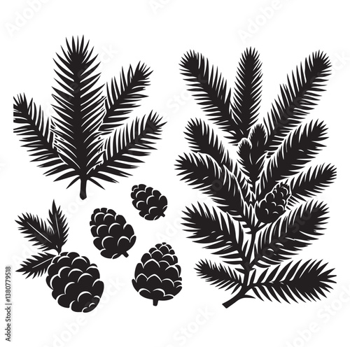 Evergreen fruit  Silhouettes vector illustration a white background.