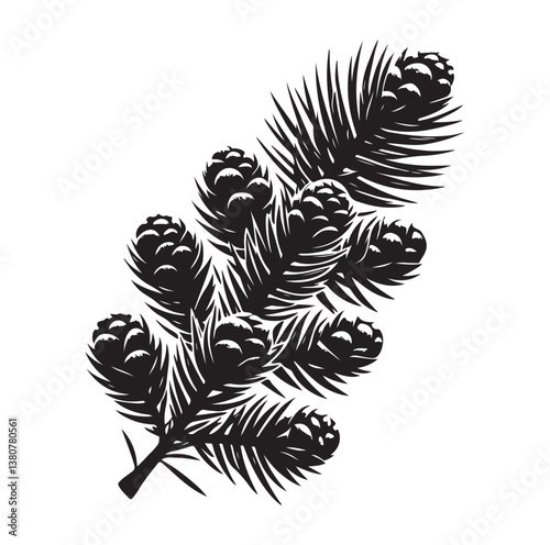 Evergreen fruit  Silhouettes vector illustration a white background.