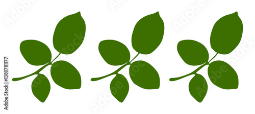 Green Leaves. Fresh twig with green leaves. Vector Illustration.
