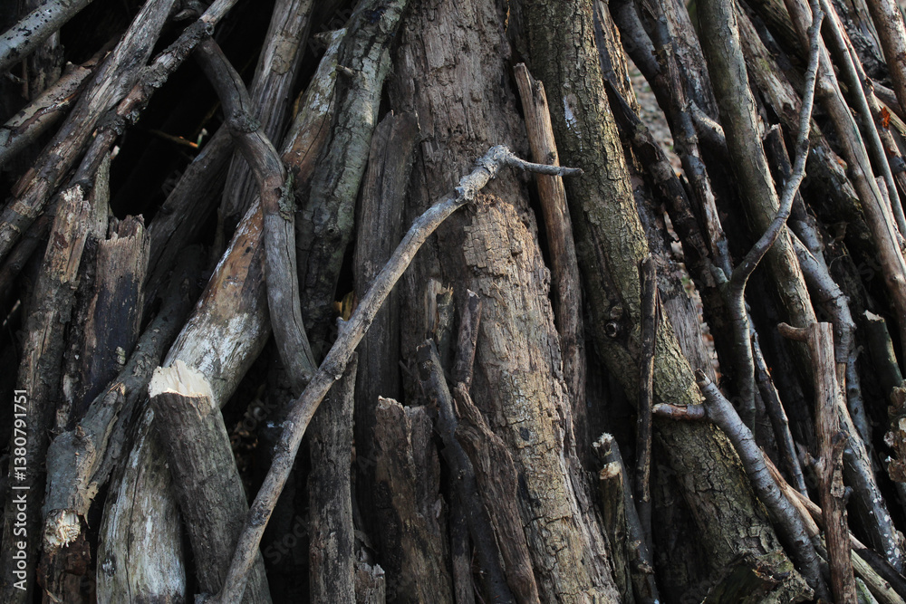 tree bark texture tree bark texture