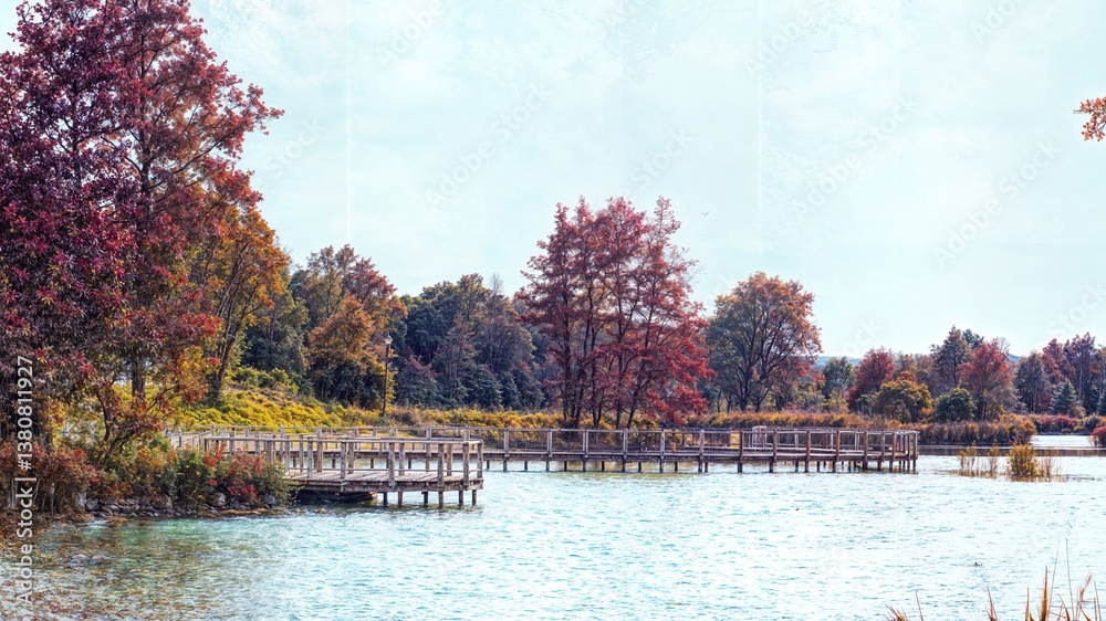 Obraz premium fall in the park